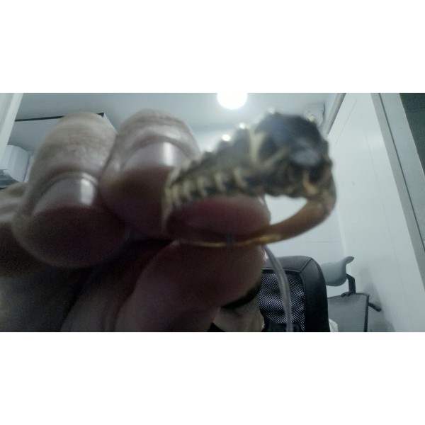 Anillo solitario de oro 18k talla 22