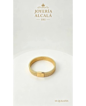 ELASTICA