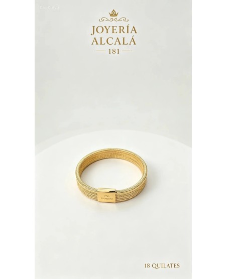 ELASTICA