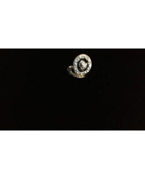 CIRCULO MEDUSA