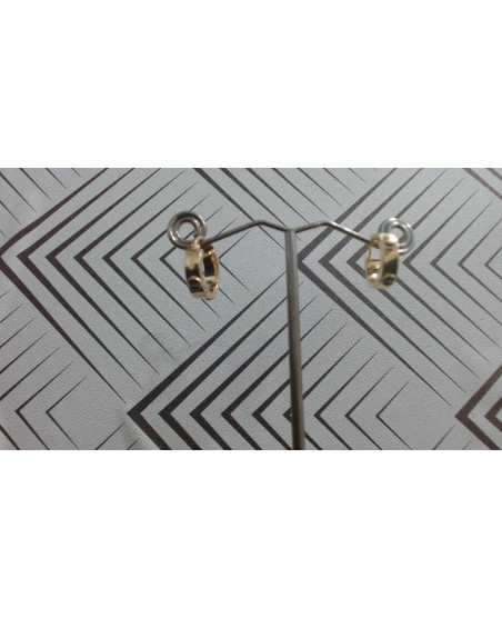 AROS CARTIER
